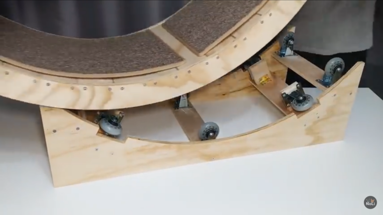 How to Build a DIY Cat Wheel: A Complete Step-by-Step Guide