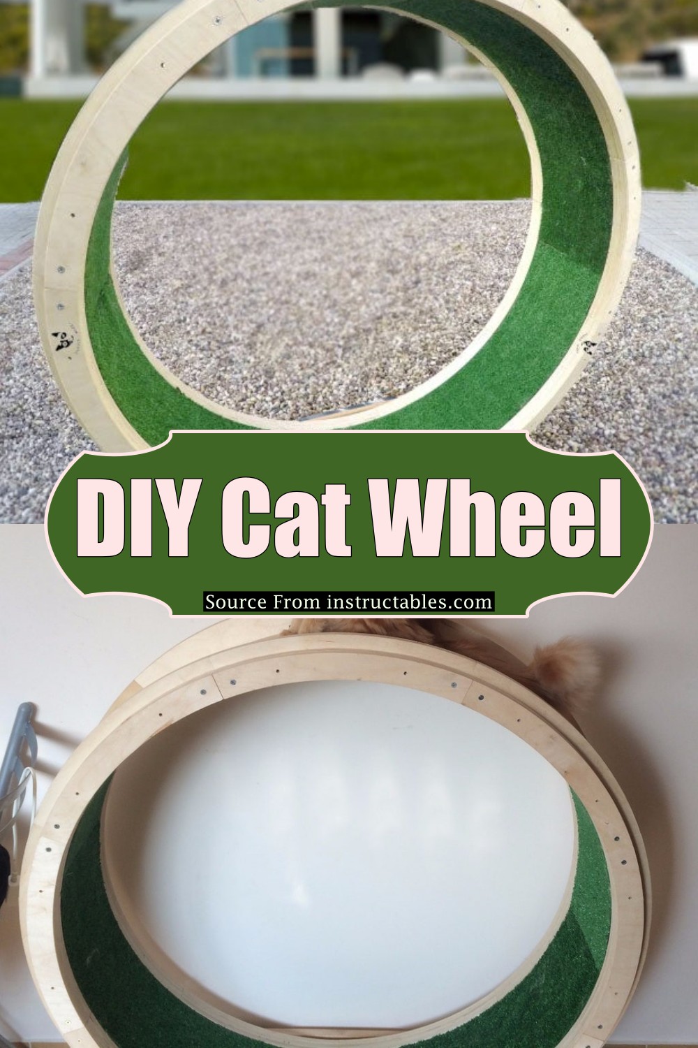 How to Build a DIY Cat Wheel: A Complete Step-by-Step Guide - Image 1