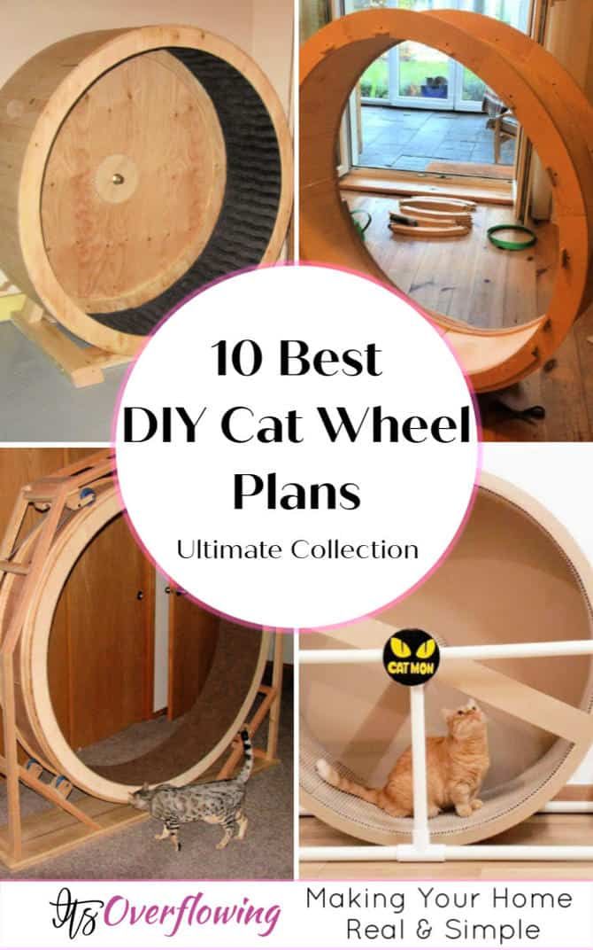 How to Build a DIY Cat Wheel: A Complete Step-by-Step Guide - Image 4