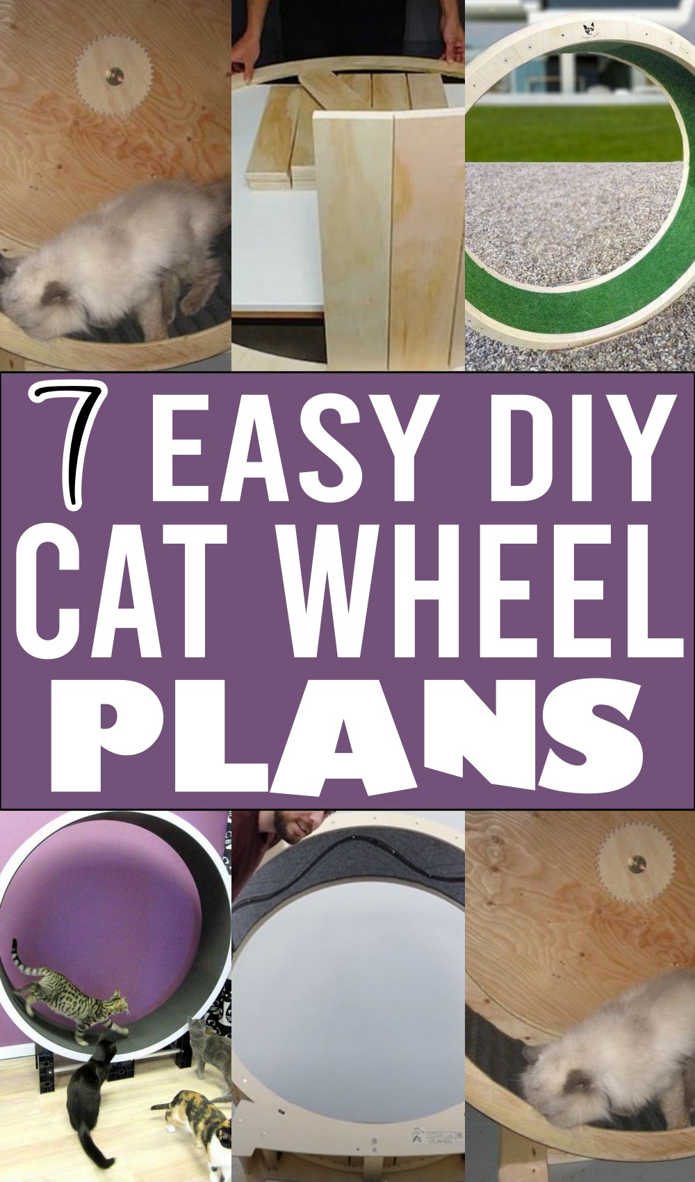 How to Build a DIY Cat Wheel: A Complete Step-by-Step Guide - Image 5